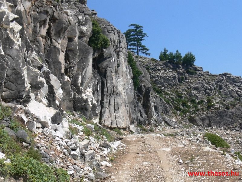 balazsh 2011